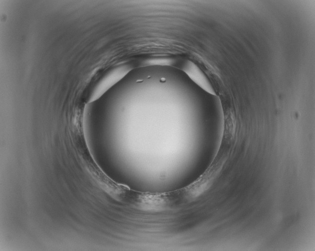 X0000084580141200702231305