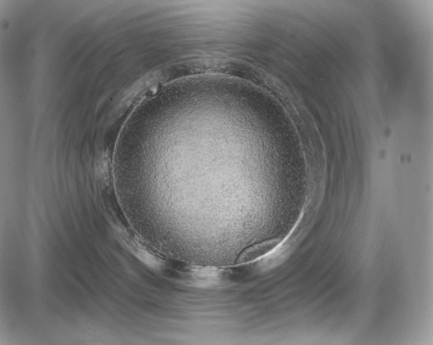 X0000084580144200702231305