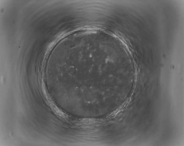 X0000084580145200702231304