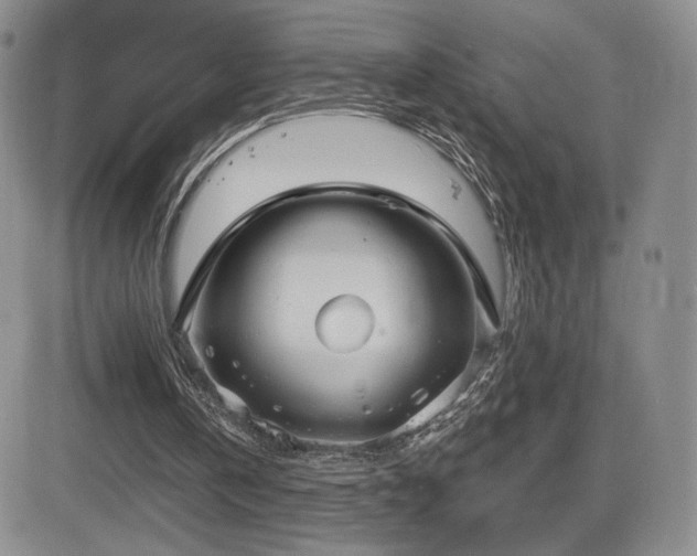 X0000084580146200702231304