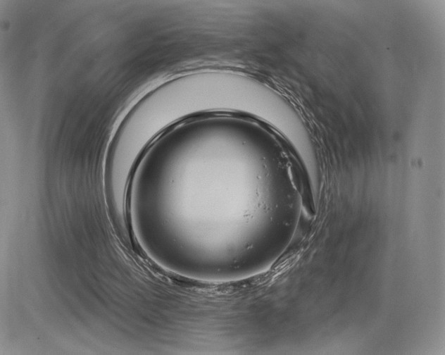 X0000084580148200702231304