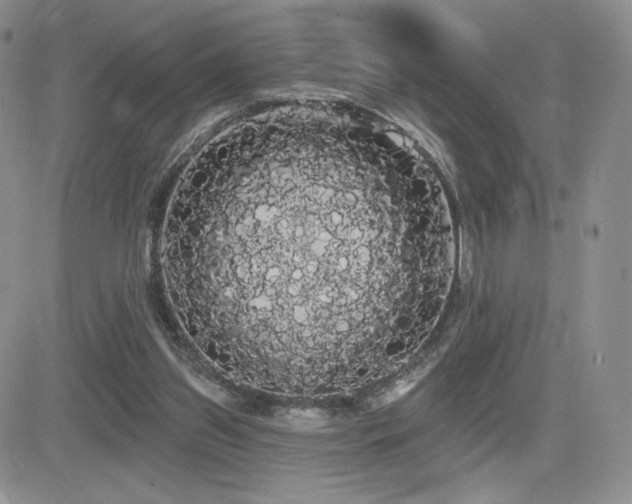 X0000084580157200702231304