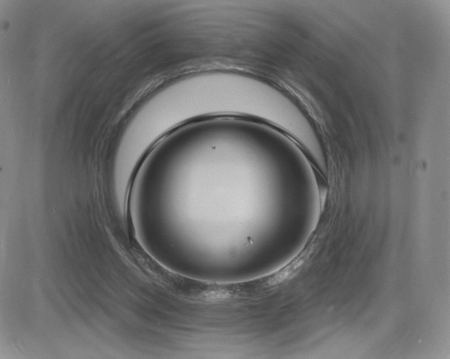 X0000084580158200702231304