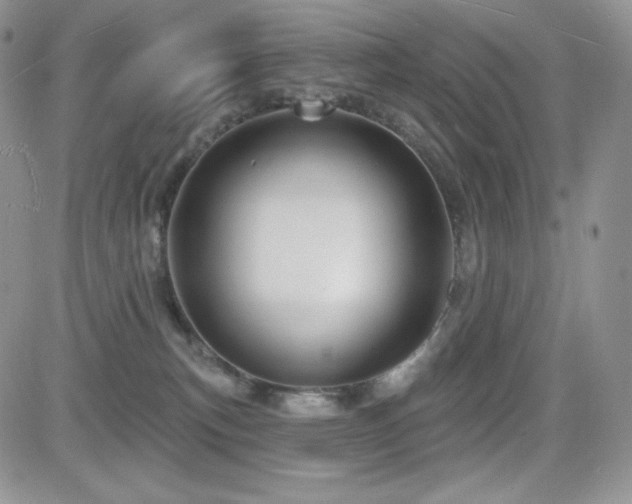 X0000084580183200702231305