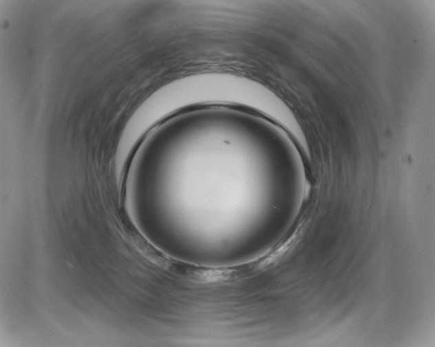 X0000084580184200702231305