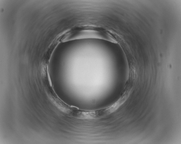 X0000084580188200702231305