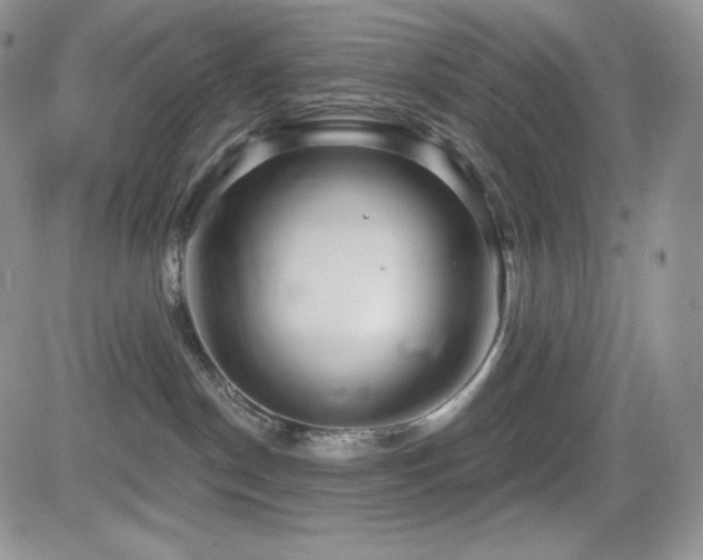 X0000084580190200702231305