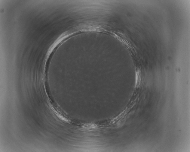 X0000084580195200702231304