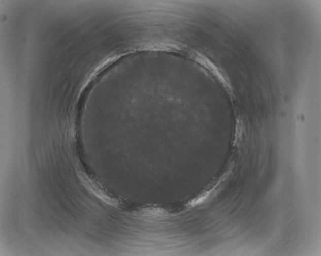 X0000084580203200702231304