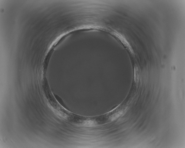 X0000084580204200702231304