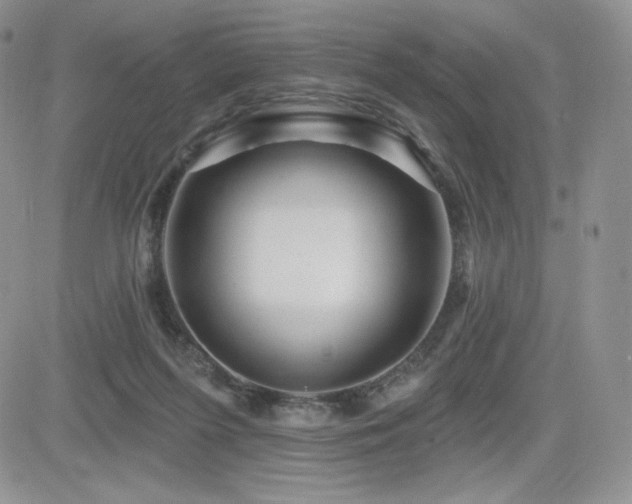 X0000084580215200702231304