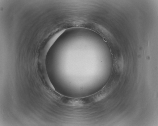X0000084580221200702231304