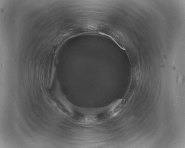 X0000084580223200702231304