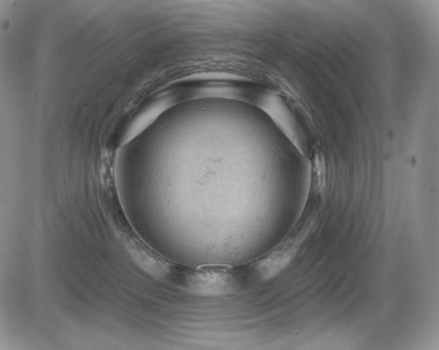 X0000084580237200702231303