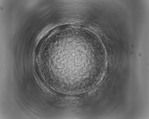 X0000084580242200702231303