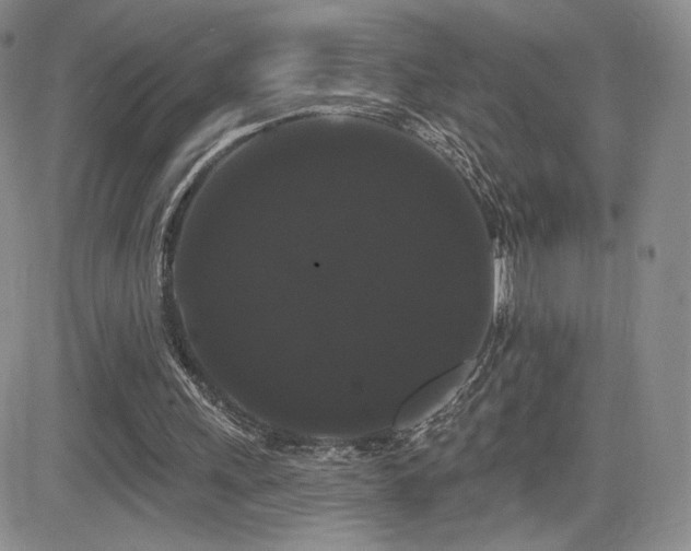 X0000084580243200702231303