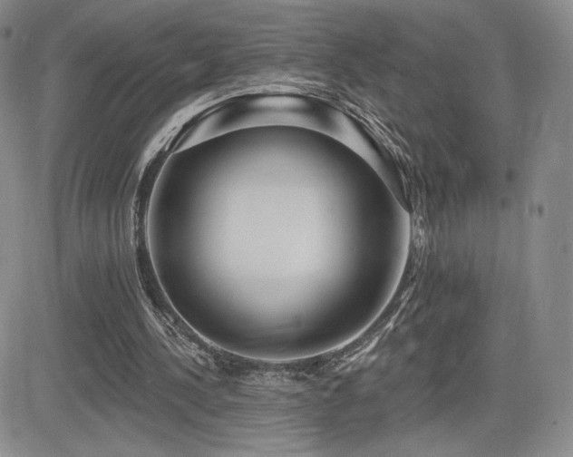 X0000084580244200702231303