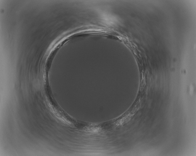 X0000084580247200702231303