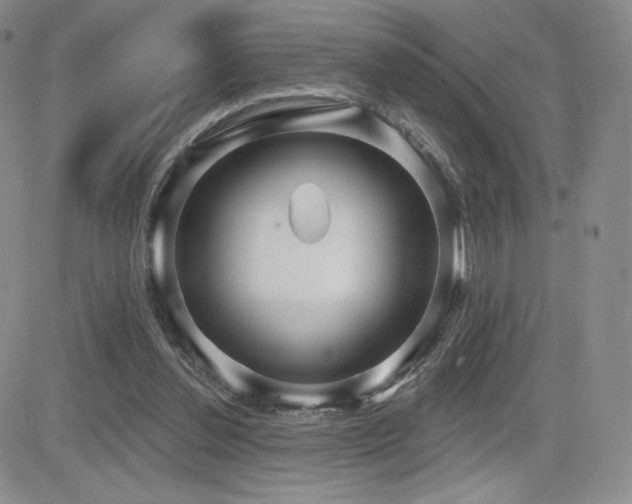 X0000084580252200702231303