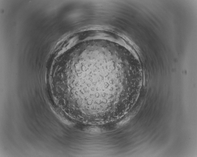 X0000084580253200702231303