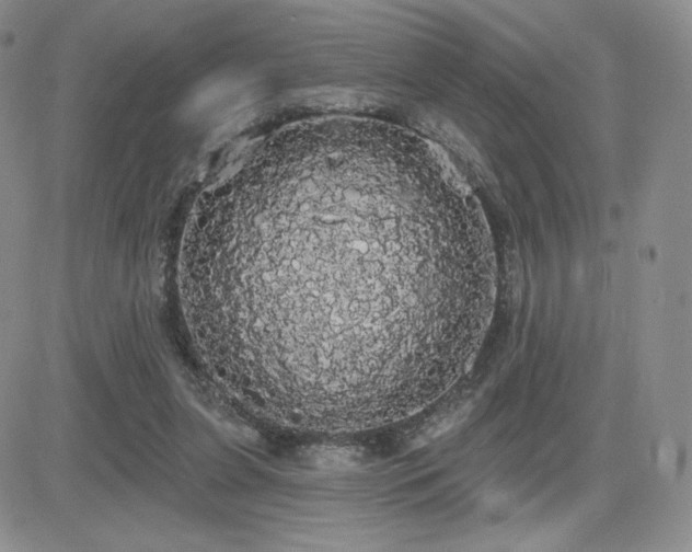 X0000084580255200702231303