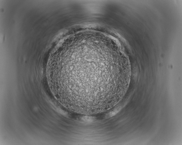 X0000084580261200702231303