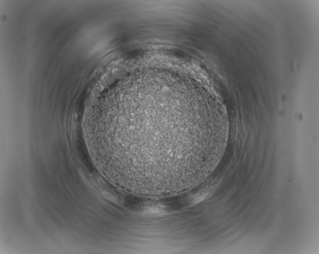 X0000084580263200702231303