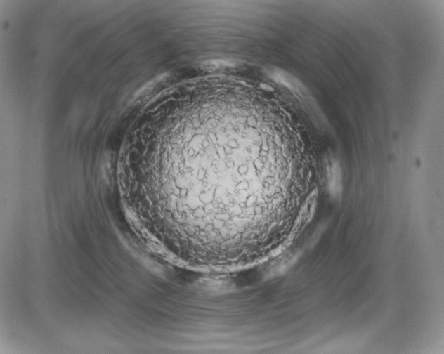 X0000084580280200702231303