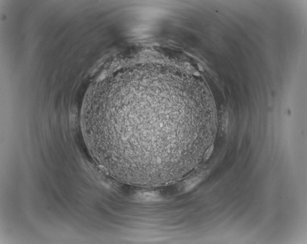 X0000084580283200702231303