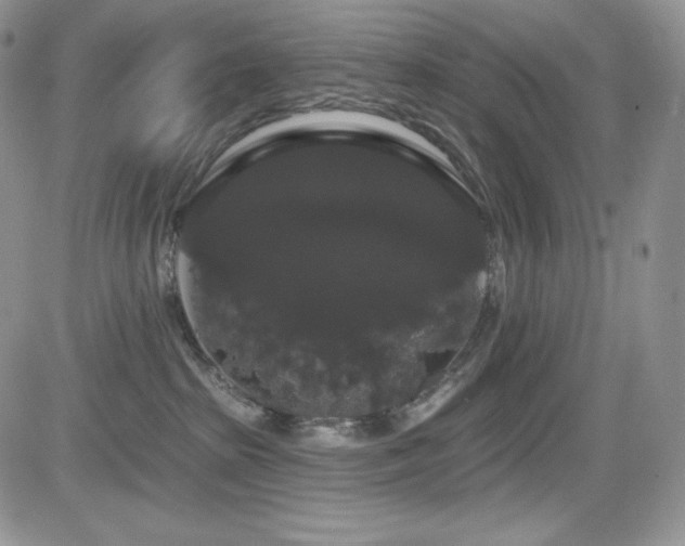 X0000084580285200702231303