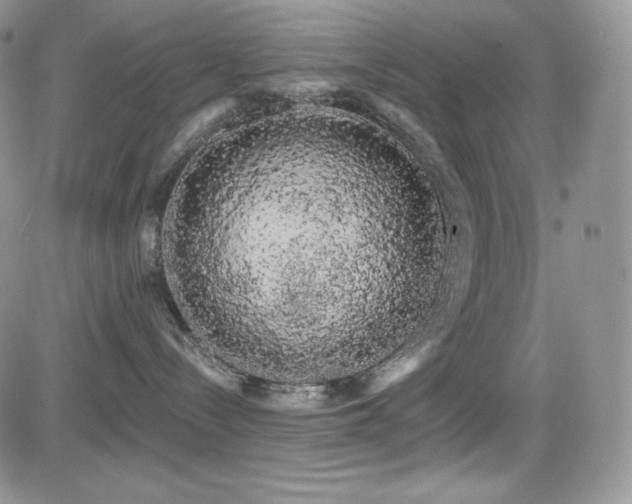 X0000084580288200702231303