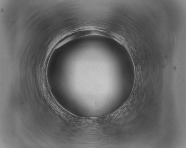 X0000084580289200702231303