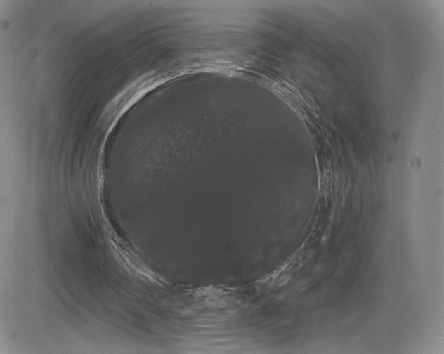 X0000084580290200702231303