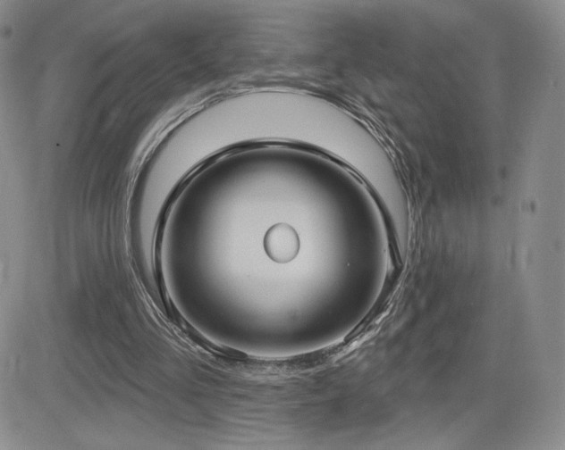 X0000084580293200702231302