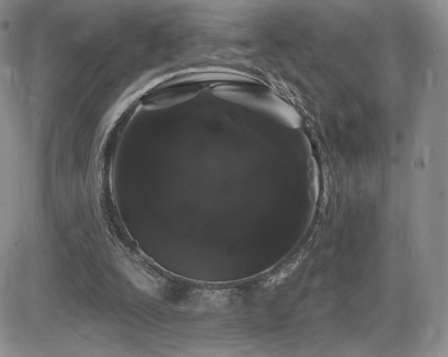 X0000084580295200702231302