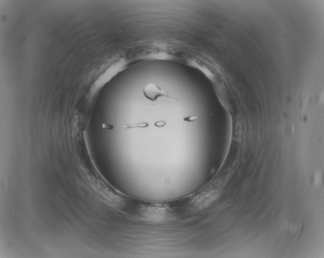 X0000084580318200702231302