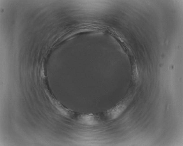 X0000084580325200702231302