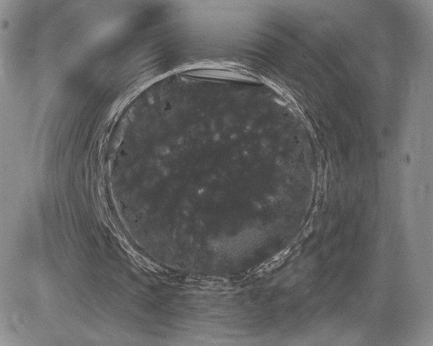 X0000084580337200702231301