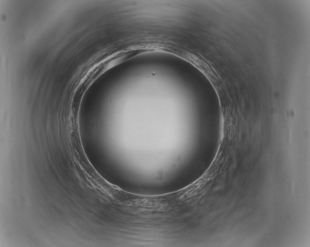 X0000084580338200702231301