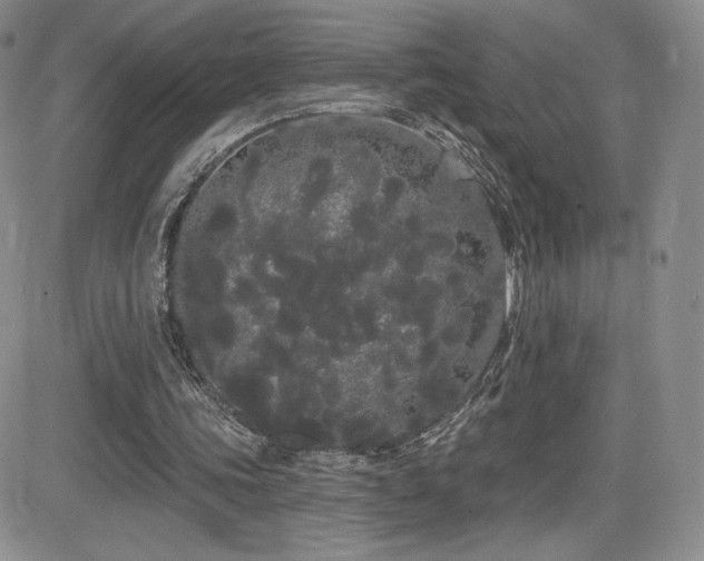 X0000084580339200702231301