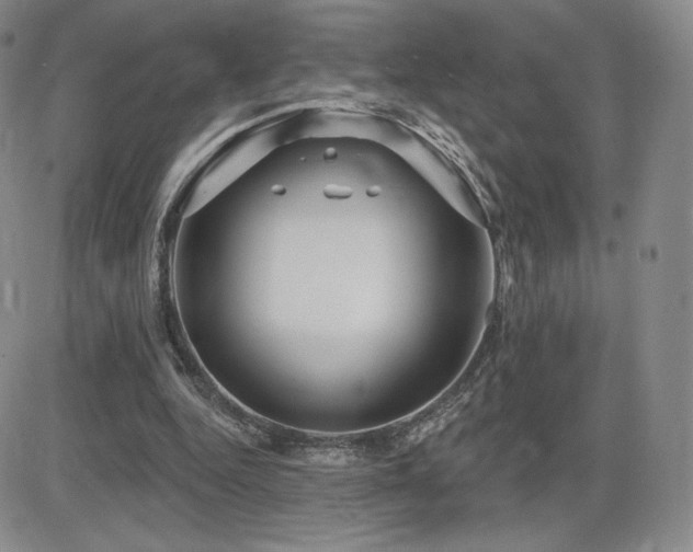 X0000084580344200702231301