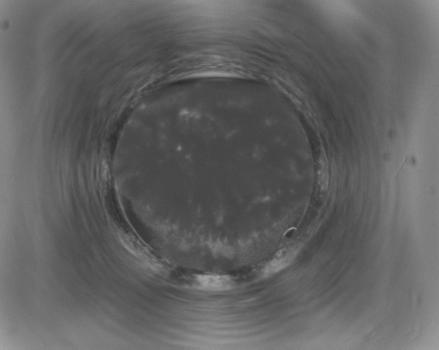 X0000084580371200702231301
