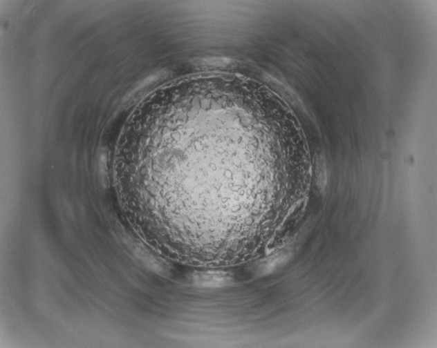 X0000084580378200702231301