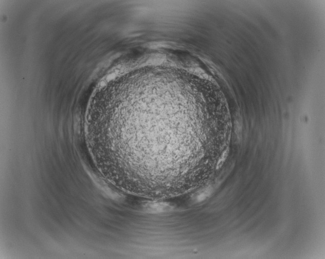 X0000084580379200702231301