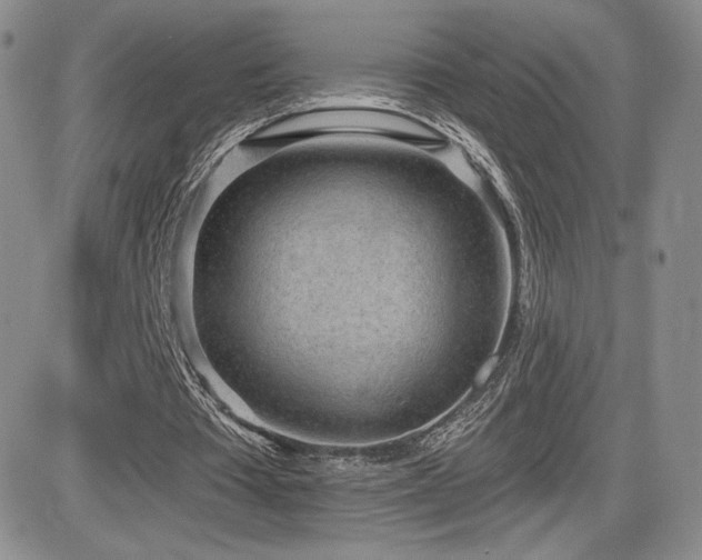 X0000084580385200702231301