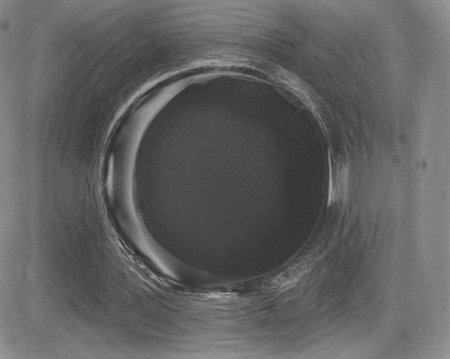 X0000084580387200702231301