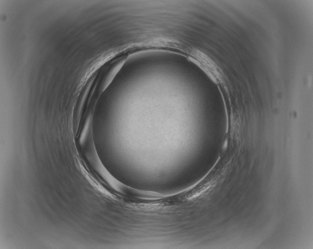 X0000084580389200702231301