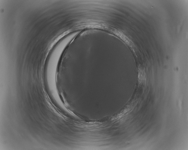 X0000084580390200702231301