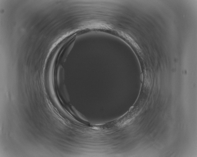 X0000084580391200702231301