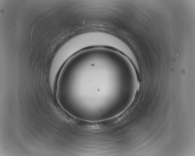 X0000084580411200702231300